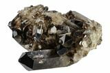 Dark Smoky Quartz Crystal Cluster - Brazil #119555-2